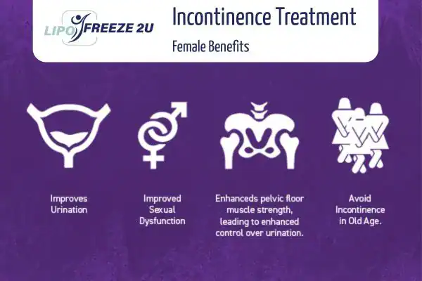 What Is Urinary Incontinence and Why Does It Happen Little Bognor?