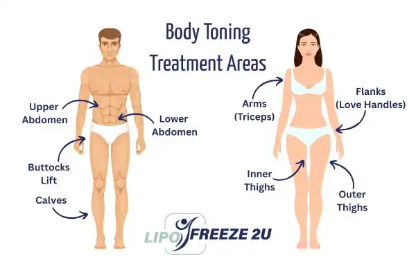 Graphic showing where you can have Body toning Treatment Little Bognor on your body